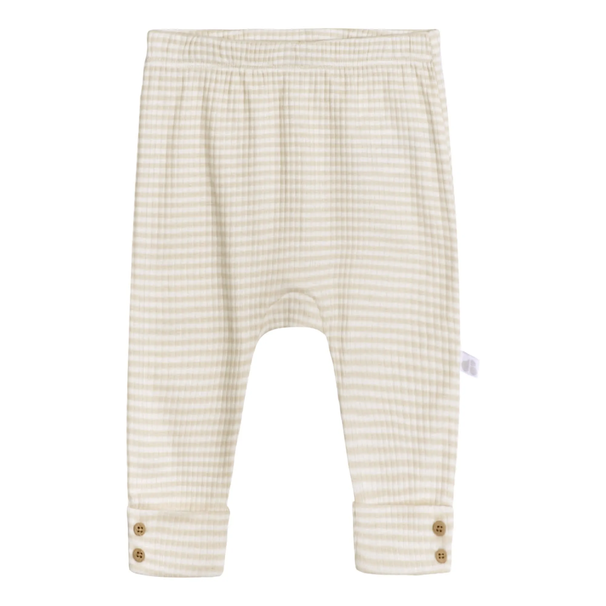 2-Pack Baby Boys Desert Cactus Pants