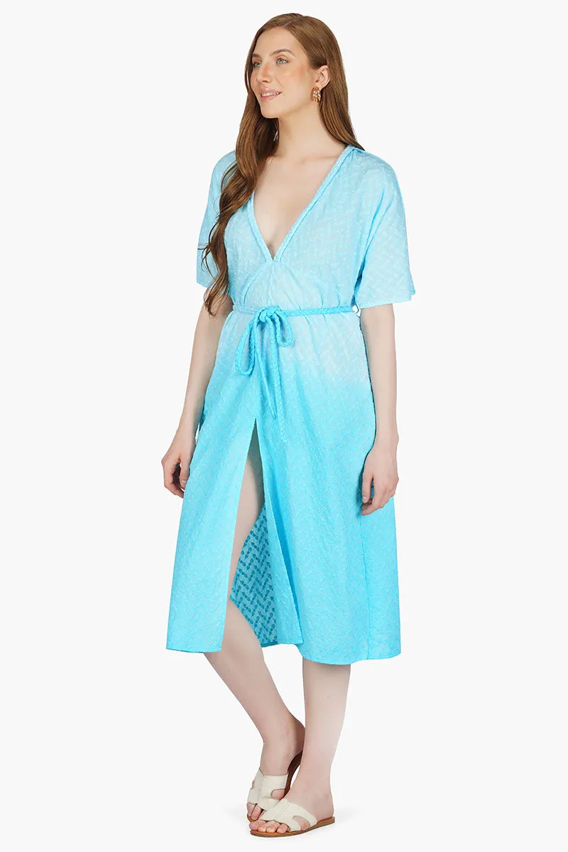 Frances Ombre Embroidered Dress